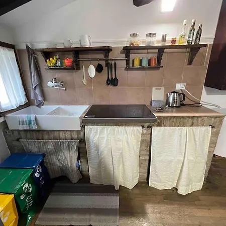 Liberty Franceschetta * Modena