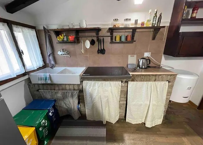 Liberty Franceschetta * Modena