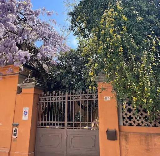 Liberty Franceschetta Modena